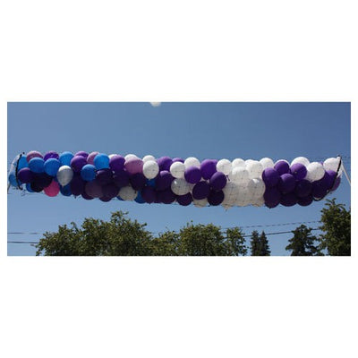 Silver Rainbow BOSS 250 - BALLOON DROP NET - 2FT X 30FT Balloon Drops BOSS250-SR